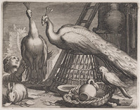 KG 02673
<br/>
Pauwen
<br/>
<em>Bolswert, Boëtius (ca.1580-1633)</em>